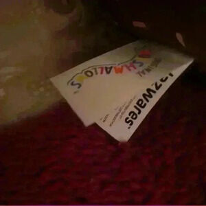 Squishmallow Rocky the Raccoon with sweater 8inch bundled with Hans Hedgehog